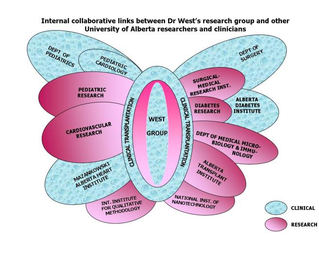 Internal collaborative Links