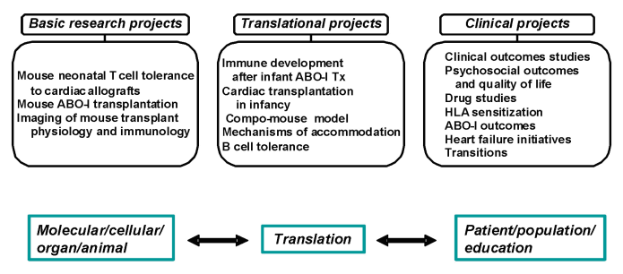 Heart Transplant Research Program